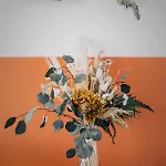 Terre En Vue