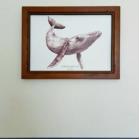 Terre En Vue Ла-Рошель