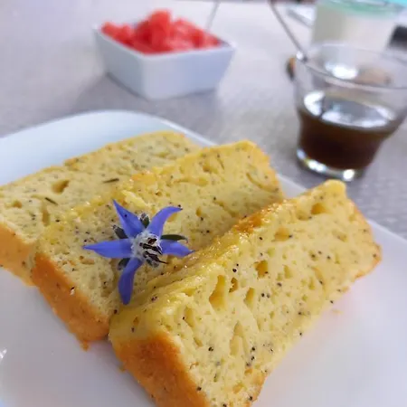 Terre En Vue Affittacamere La Rochelle (Charente-Maritime)