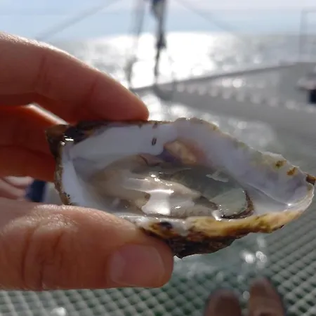 Гостевой дом Terre En Vue 3*