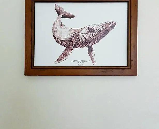 Terre En Vue La Rochelle (Charente-Maritime)