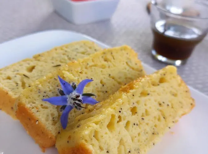 Terre En Vue Guest house La Rochelle (Charente-Maritime)